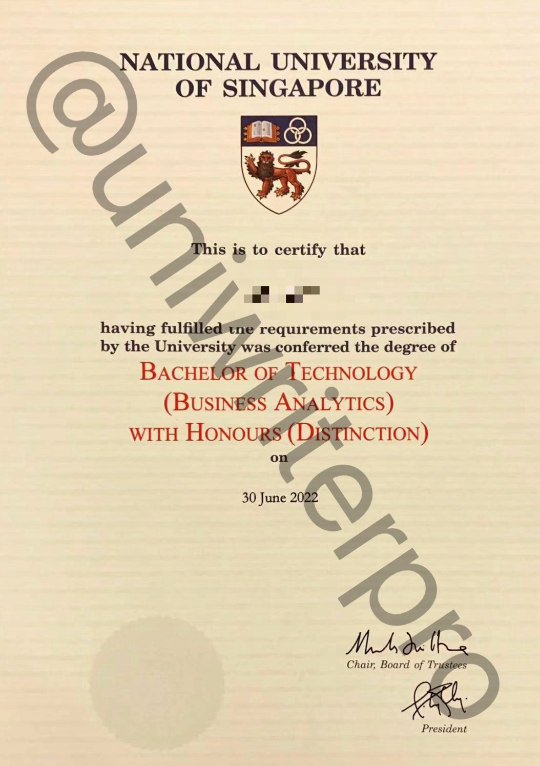 NUS — BTech Business Analytics with Distinction